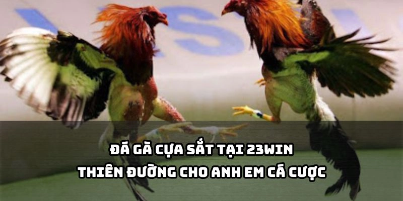 Khám phá thế giới Đá Gà Cựa Sắt tại 23Win, nơi anh em thỏa sức đam mê cá cược